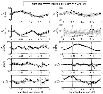 signal averages